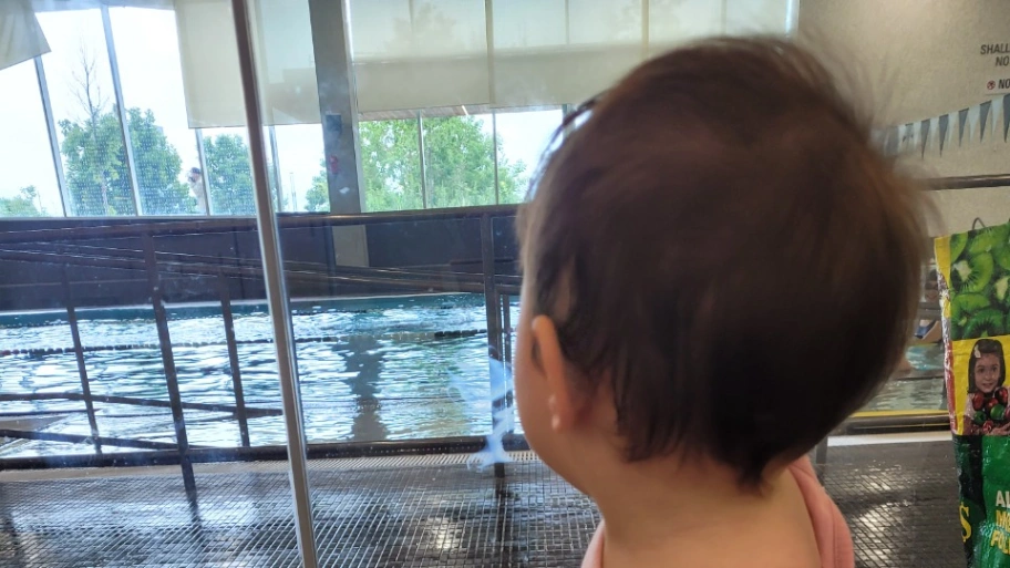 Baby Swimming Classes 🐳 preview