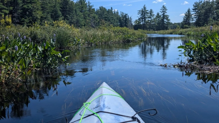 Kawartha Highlands Provincial Park preview